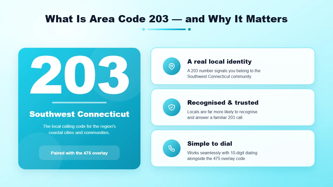 Map of the 203 Area Code Across Southwest Connecticut